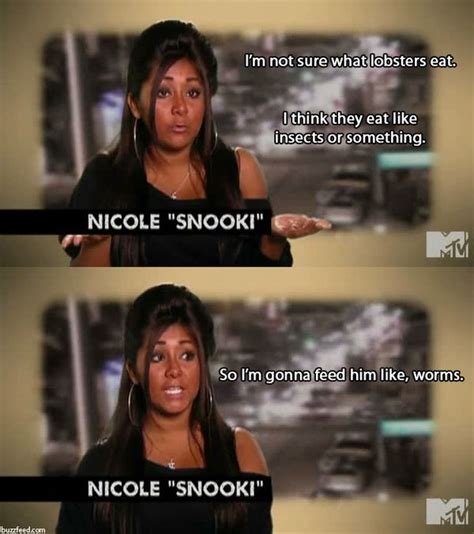 funny jersey shore quotes|More.